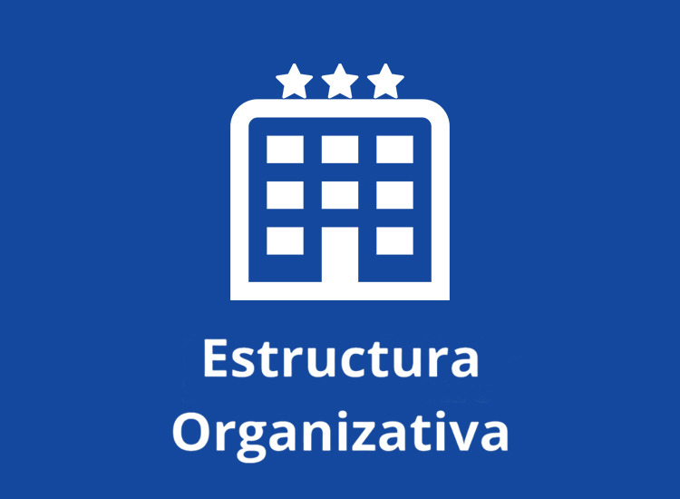 Estructura-Organizativa.jpg